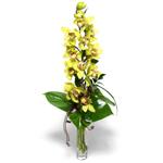  Konya hediye sevgilime hediye iek  cam vazo ierisinde tek dal canli orkide